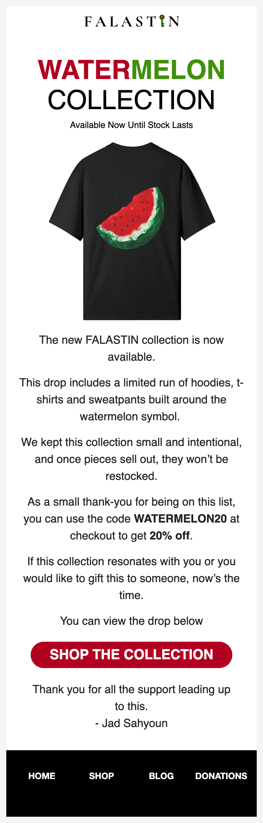 FALASTIN campaign email