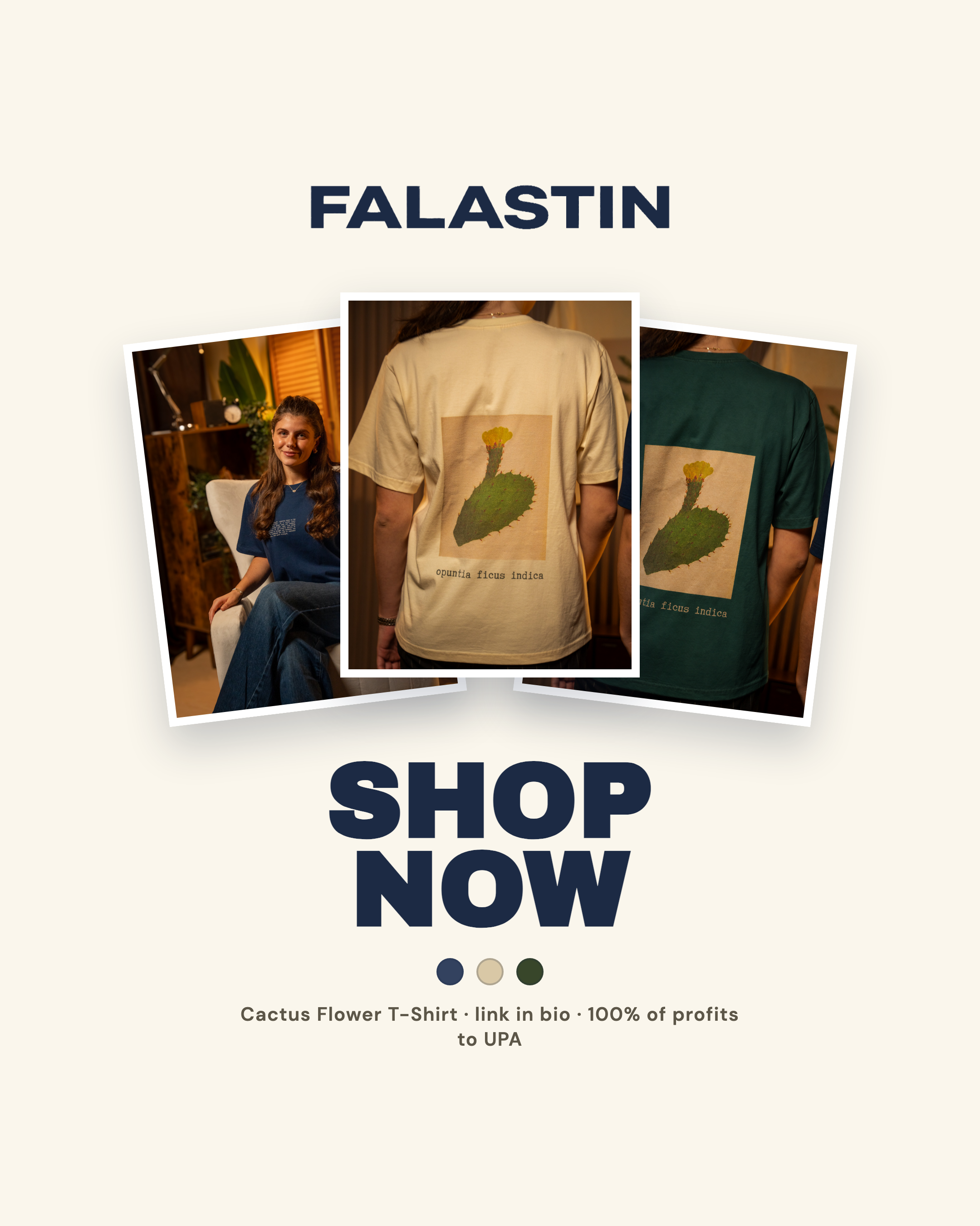 Falastin post